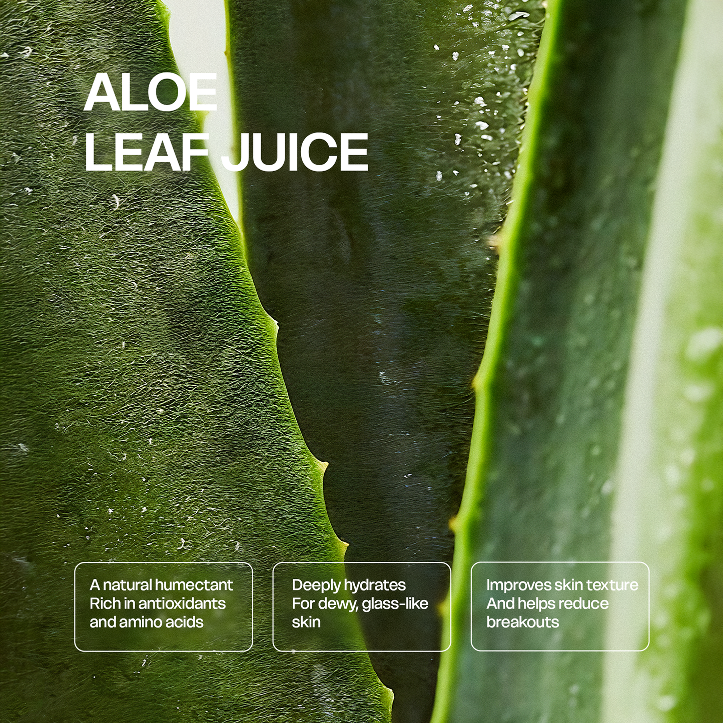 Clean & Hydrate Face Duo